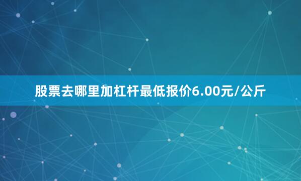 股票去哪里加杠杆最低报价6.00元/公斤