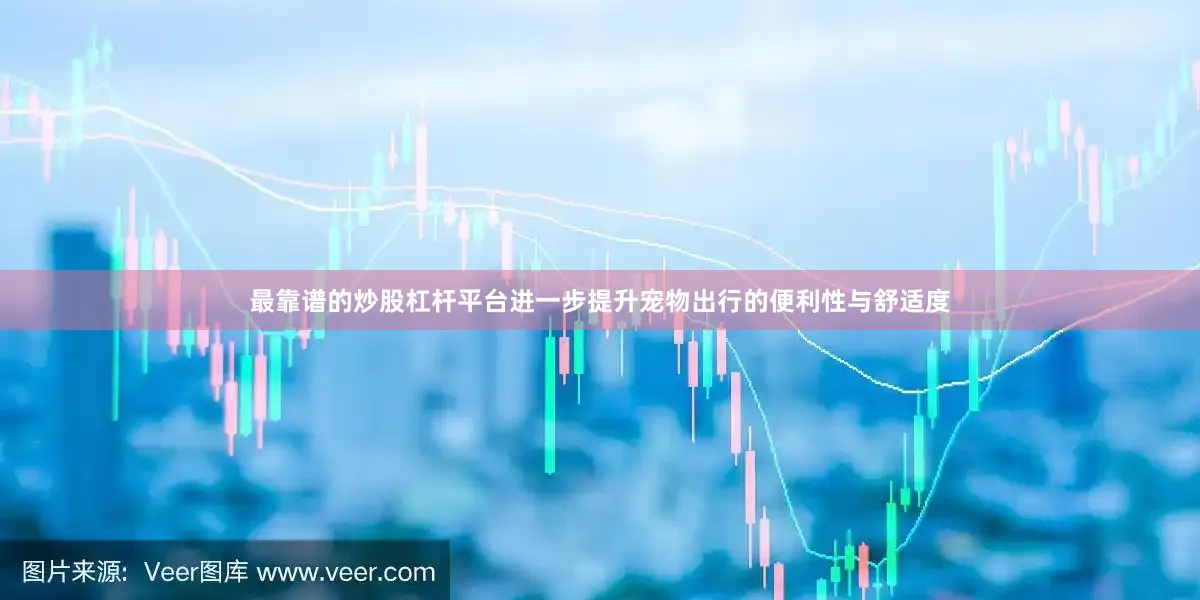最靠谱的炒股杠杆平台进一步提升宠物出行的便利性与舒适度