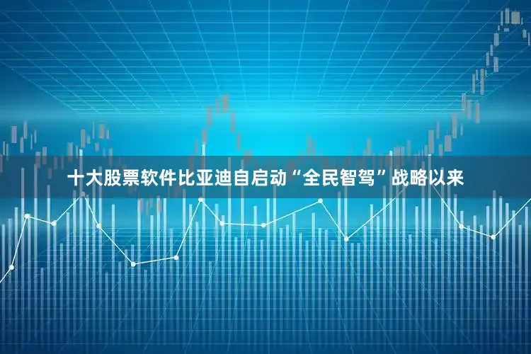 十大股票软件比亚迪自启动“全民智驾”战略以来