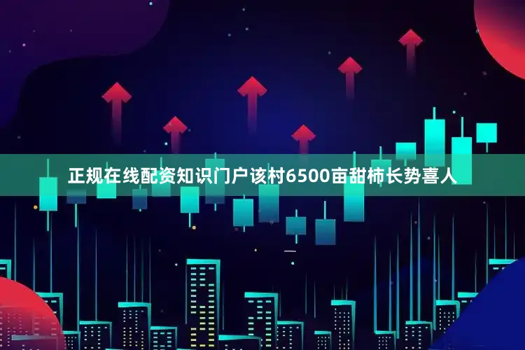 正规在线配资知识门户该村6500亩甜柿长势喜人